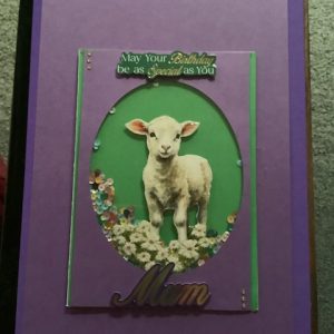 Birthday Card’s Handmade Greeting Card’s By P Williams